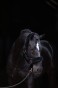 175505_Anwendungsbild__3224639_ee50.jpg