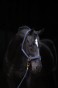 175672_Anwendungsbild__3224613_7c84.jpg