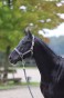 175521_Anwendungsbild__3224736_046b.jpg