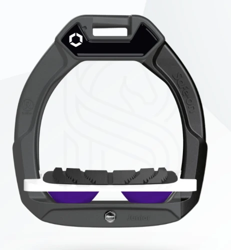 purple.png