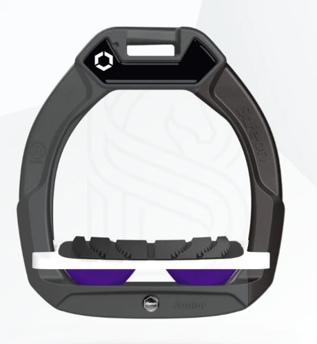 purple.png