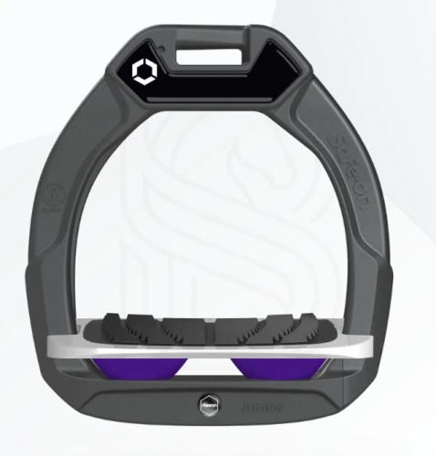 purple.png