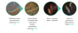 wkasx.png