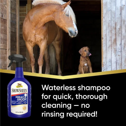 ShowSheen_MiracleGroom_Carousel_Waterless.webp