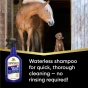 ShowSheen_MiracleGroom_Carousel_Waterless.webp