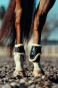 19258_BL_6.webp