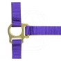 norton-foal-headcollar-lead-rope-1.webp