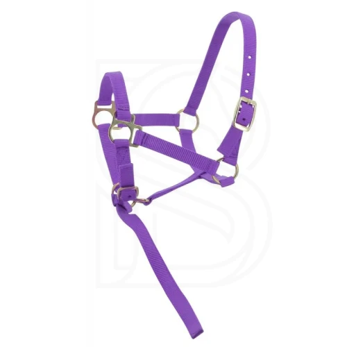 norton-foal-headcollar-lead-rope.webp