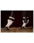tylne-ochraniacze-z-futerkiem-champion-schockemohle-aw23-black (1).webp