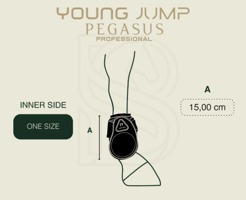 Ochraniacze-GATUSOS-strychulce-YOUNG-JUMP-PEGASUS-PROFESSIONAL-brazowe (2).webp
