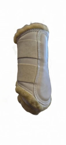 WhatsApp Image 2026-02-10 at 19.52.09.jpeg