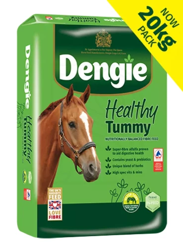 dengie-healthy-tummy-20kg-sieczka-dla-koni-w-grupie-ryzyka-choroby-wrzodowej.webp