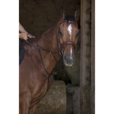 Norton-wytok-Pro-Run (1).jpg