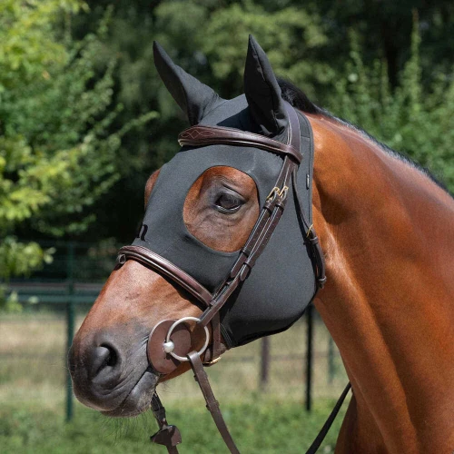 b25029003_ambi_3_web (1).jpg