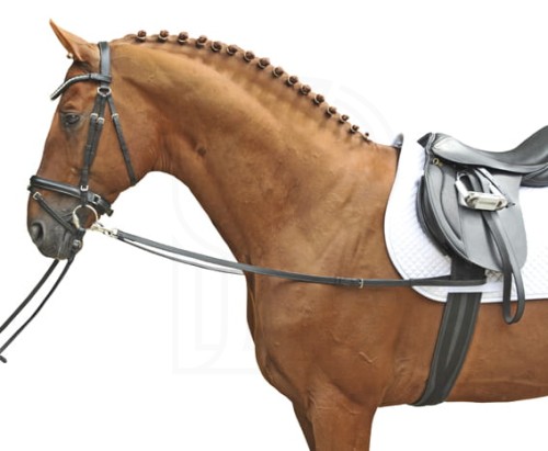 productGfx_862ccc0ee2278f05205090f48179695f_0_0.webp