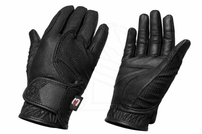 WhatsApp Image 2026-03-18 at 22.51.18.jpeg