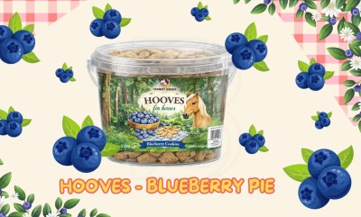 WhatsApp Image 2026-04-08 at 23.36.54.jpeg