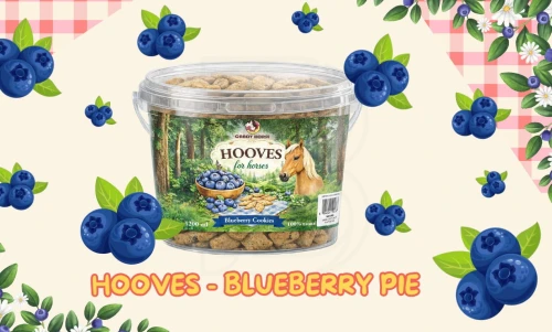 WhatsApp Image 2026-04-08 at 23.36.54.jpeg