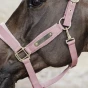 pol_pl_-Kentucky-kantar-anatomiczny-Velvet-pudrowy-roz-7683_3.webp