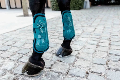 pol_pl_Kentucky-Bamboo-Tendon-Boots-Elastic-na-przednie-nogi-szmaragdowe-9234_1.webp