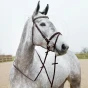 10659_BR_3.webp