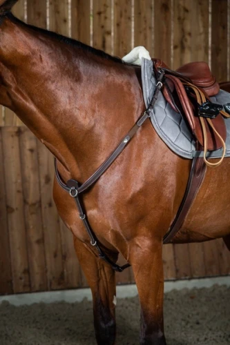 pol_pl_Klasyczny-napiersnik-Dyon-Breastplate-Working-10260_1.webp