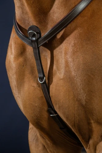 pol_pl_Klasyczny-napiersnik-Dyon-Breastplate-Working-10260_2.webp