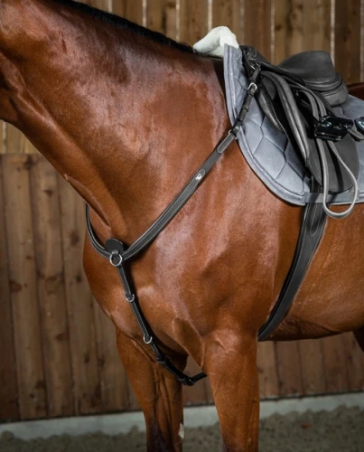 pol_pl_Klasyczny-napiersnik-Dyon-Breastplate-Working-czarny-10259_5.webp
