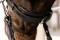 pol_pl_Oglowie-rurkowe-Dyon-ComfoHead-Working-12765_7.webp