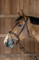 DA0SM_780_02.webp