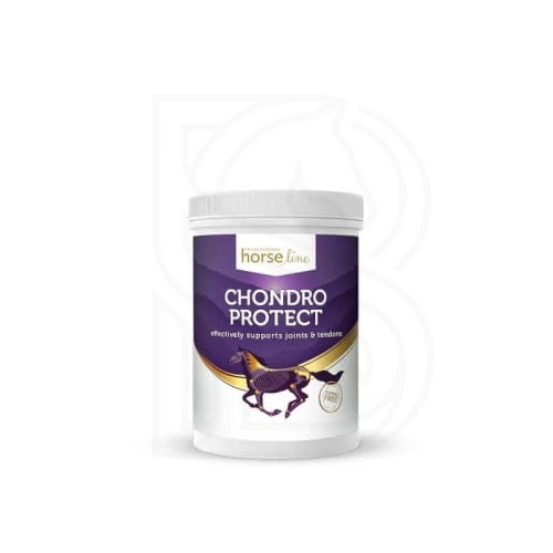 chondroprotect-900g.jpg