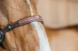 pol_pl_Oglowie-Dyon-bezwedzidlowe-Working-brazowe-11612_3.webp