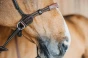 pol_pl_Oglowie-Dyon-bezwedzidlowe-Working-brazowe-11612_4.webp