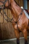 pol_pl_Klasyczny-wytok-Dyon-Working-10257_1.webp