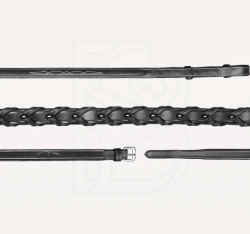 sclcas;c.png