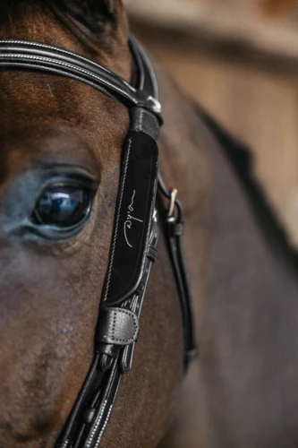pol_pl_Dyon-Blinkers-Fancy-11717_2.webp