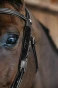 pol_pl_Dyon-Blinkers-Fancy-11717_2.webp