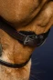WSP2V_780_08.webp