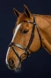 WSP2V_780_04.webp