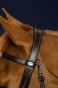 WSP2V_780_05.webp