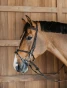 pol_pl_Oglowie-Dyon-Working-Plaited-z-haczykami-brazowe-11100_1.webp