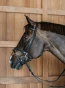 pol_pl_Oglowie-Dyon-Working-Plaited-z-haczykami-czarne-11099_3.webp