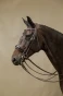 pol_pl_Oglowie-munsztukowe-Dyon-z-szerokim-lakierowanym-nachrapnikiem-szwedzkim-Working-brazowe-11681_2.webp