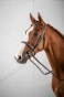 pol_pl_Oglowie-Dyon-Cavesson-US-Hunter-10474_1.webp