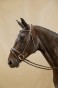 WODCAM-Dyon-oglowie-Matte-Large-Crank-Noseband-With-Flash-by-Working.jpg
