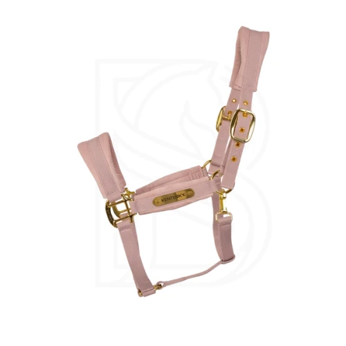 pol_pl_-Kentucky-kantar-anatomiczny-Velvet-jasny-roz-13383_1.webp