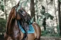 pol_pm_Kentucky-czaprak-Velvet-szmaragdowy-6279_4.webp