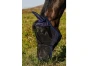291771-1_maska-proti-hmyzu-first-riding-world--s-ochranou-usi-a-nozder--navy--velikost-pony.JPG