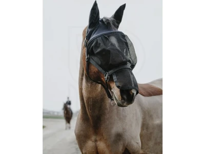 282138_ohlavka-s-maskou-proti-hmyzu-equith--me--cerna--velikost-pony.JPG