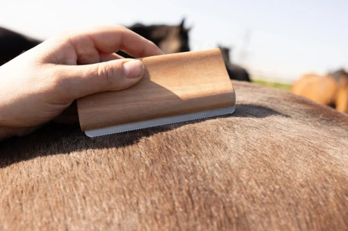 pol_pl_Szczotka-Easy-Grooming-Shedding-Brush-Kentucky-Grooming-Deluxe-14106_1.webp